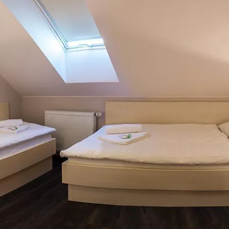 Guest house Longus 4*